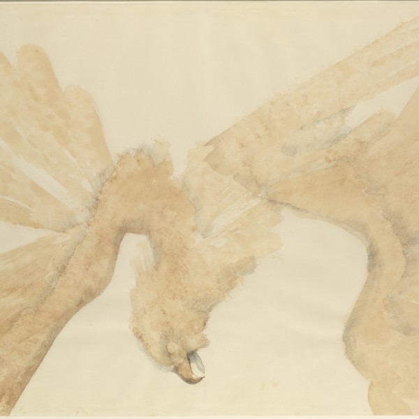 Fallen Eagle (1967), Watercolour and Pencil on Paper, 72 x 98cm