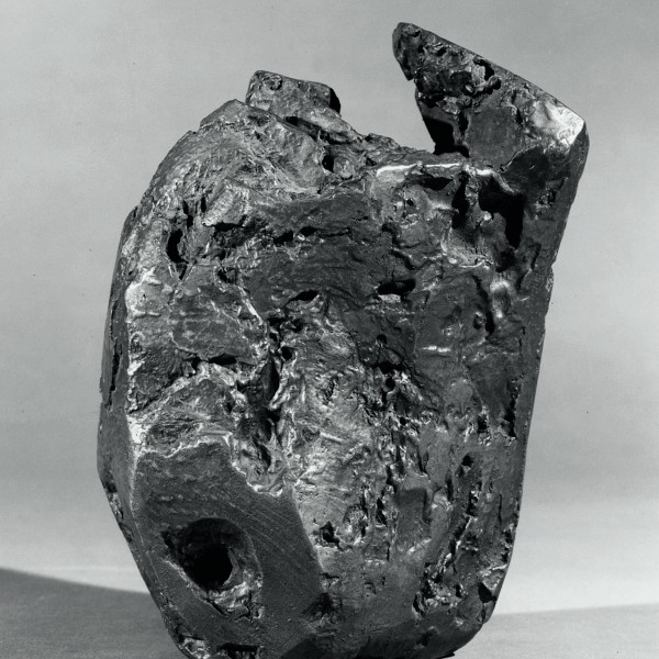 Fish Head (1961), Bronze, Edition 3 of 6, H19.7cm
