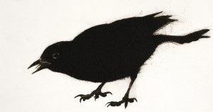 Blackbird (2014), Drypoint Engraving, Edition of 10, 19 x 36cm