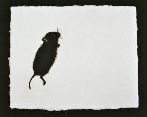 Vole, Drypoint Engraving, Edition of 6, 18 x 22cm