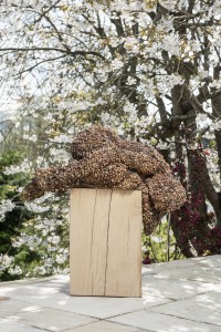 For the Love of Oak (2015), Bronze, Edition of 5, 160cm