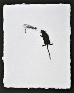 Demoiselle and Pigmy Shrew, Dry Point Engraving, Edition 6 of 6, 22 x 18cm
