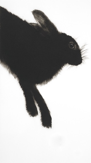 Hare (2013), Drypoint Engraving, 61 x 34 cm