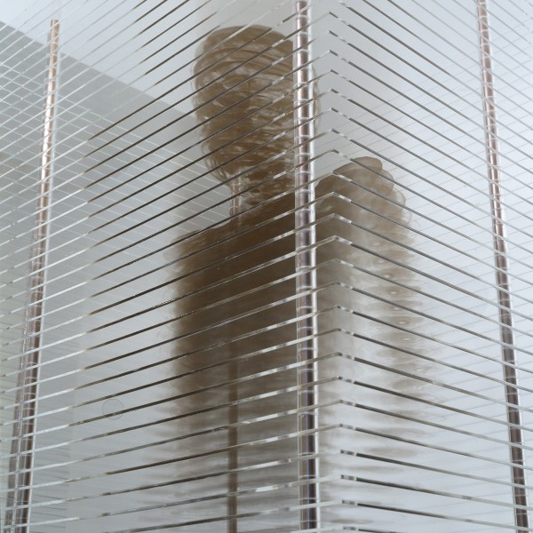 Family Portrait: Sophie (in detail) (2002), Bronze Ink on Acrylic, Edition of 6, 2 Artist's Copies, 70 x 50 x 192cm
