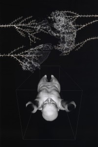 Buffalo Thorn (2013), Photographic Print with Bleach and Ink, Unique, 154 x 103cm