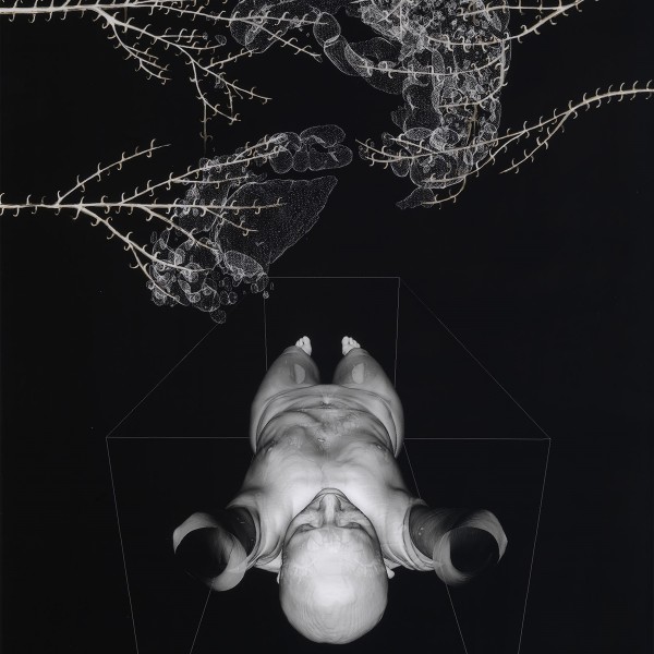 Buffalo Thorn (2013), Photographic Print with Bleach and Ink, Unique, 154 x 103cm