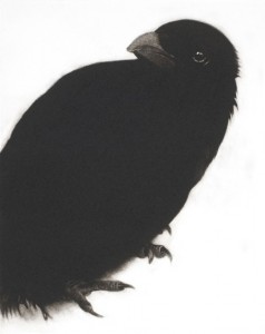 My Heart a Wounded Crow, Mezzotint, 28 x 22.5cm