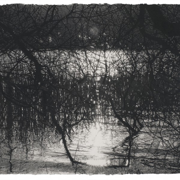 A Love as Old as Water (2014), Brown and Black Charcoal on 356gsm Saunders Waterford Paper, 66 x 101.5cm