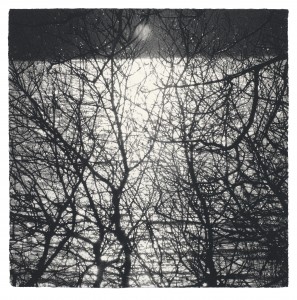 A Tale the Woods Told Me (2014), Charcoal, 66.5 x 66.5cm