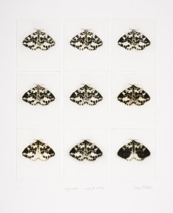 Nine for a Kiss (2012), Etching, Drypoint and Watercolour, Unique, 9 x 16 x 14cm