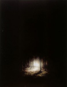 Wood (2004-07), Oil on Board, 47 x 36.75cm