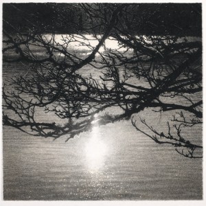 Woods and Water (2013), Ink, Graphite and Charcoal on Arches Paper, 61 x 61cm