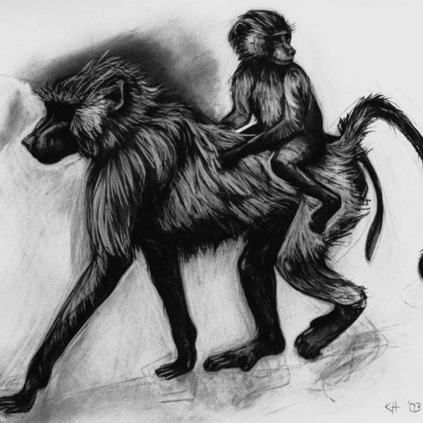 Kendra Haste, Baboon mother and baby, 2003, Charcoal on paper, 84 x 102cm