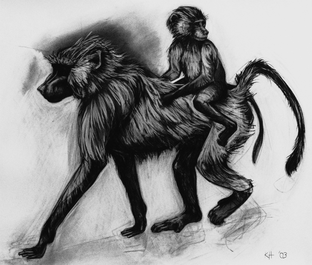 Kendra Haste, Baboon mother and baby, 2003, Charcoal on paper, 84 x 102cm