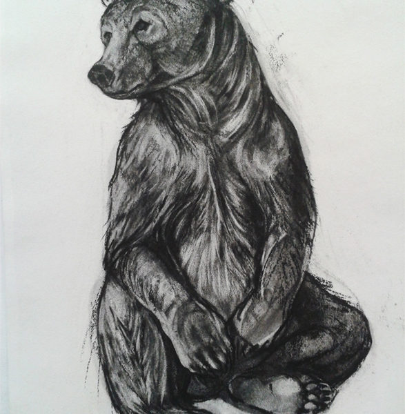 Kendra Haste - Seated Brown Bear 1