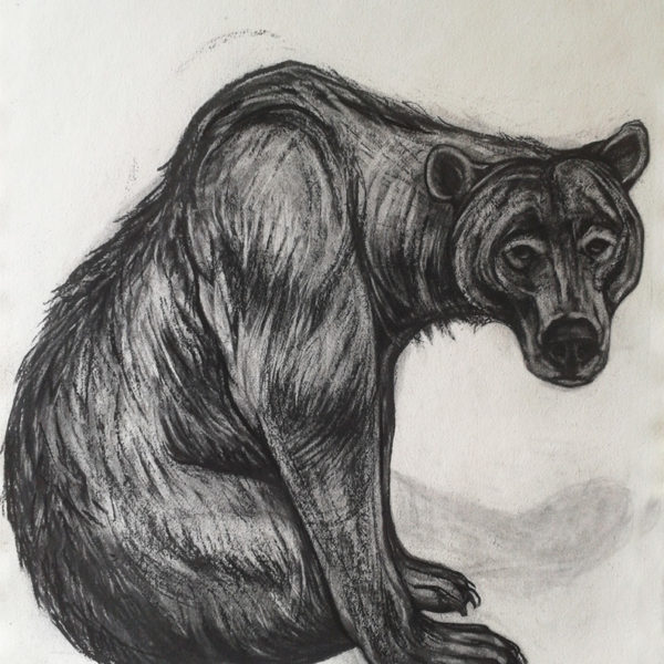 Kendra Haste - Seated Brown Bear 2